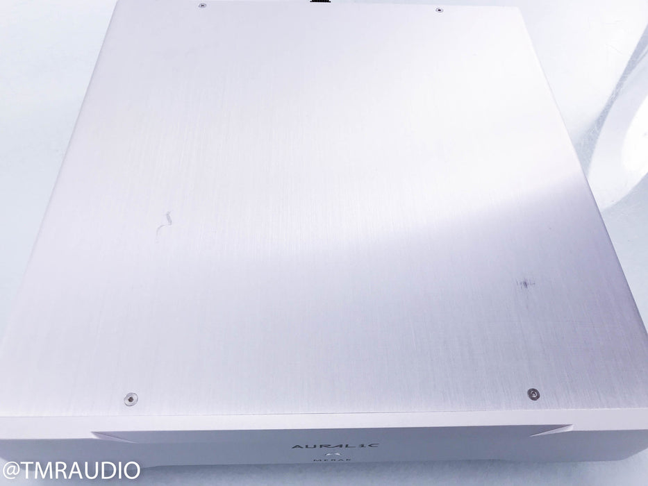 Auralic Merak Mono Power Amplifier