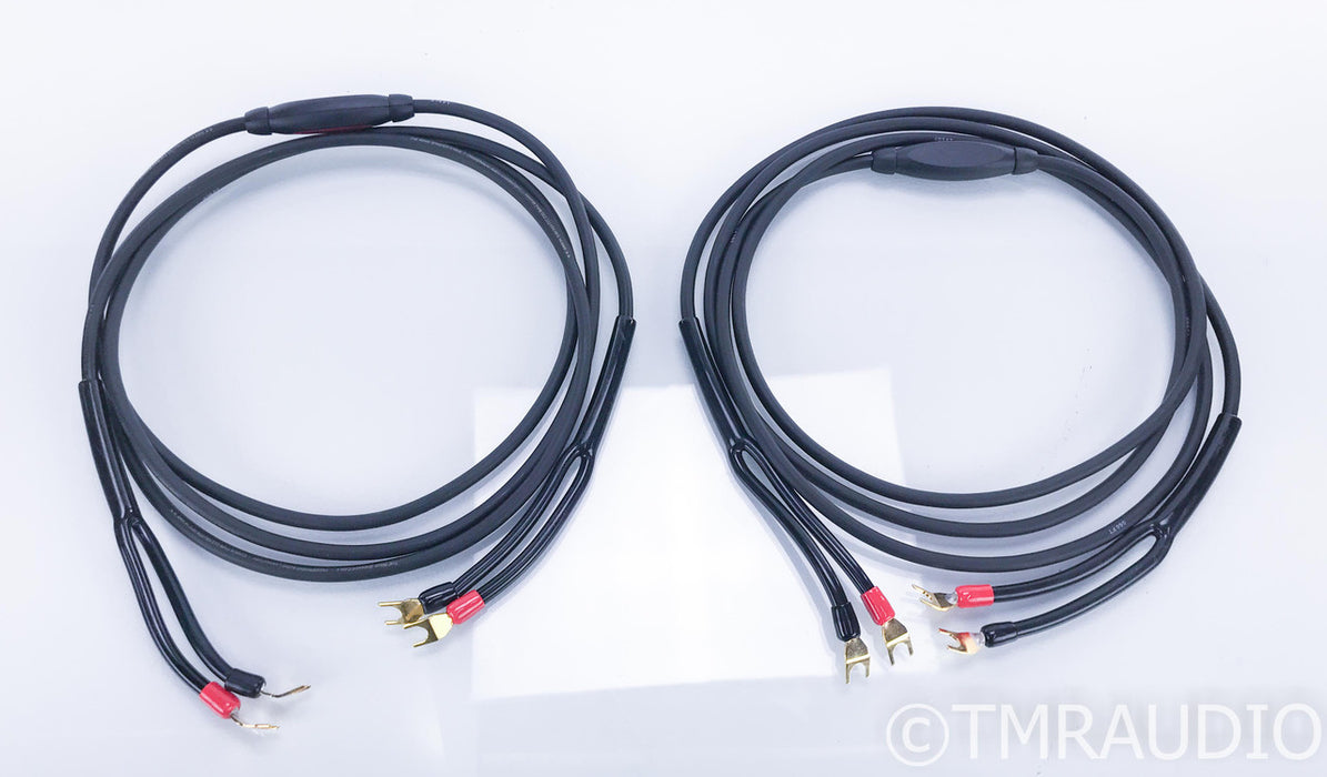 Transparent Audio The Wave Speaker Cables; 10ft Pair; Gen 5