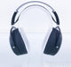 HiFiMan HE6se Open Back Planar Magnetic Headphones