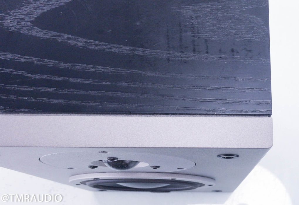 Dynaudio Audience 42W On-Wall Surround Speakers