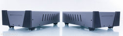 Wyred 4 Sound SX-1000R Mono Power Amplifier