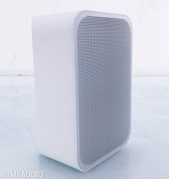 Bluesound Pulse Flex Wireless Speaker