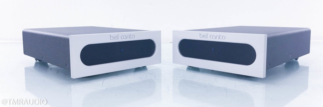 Bel Canto e.One REF1000M Mono Power Amplifier