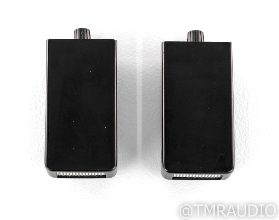 Townshend Maximum Super Tweeters; Satin Black Pair