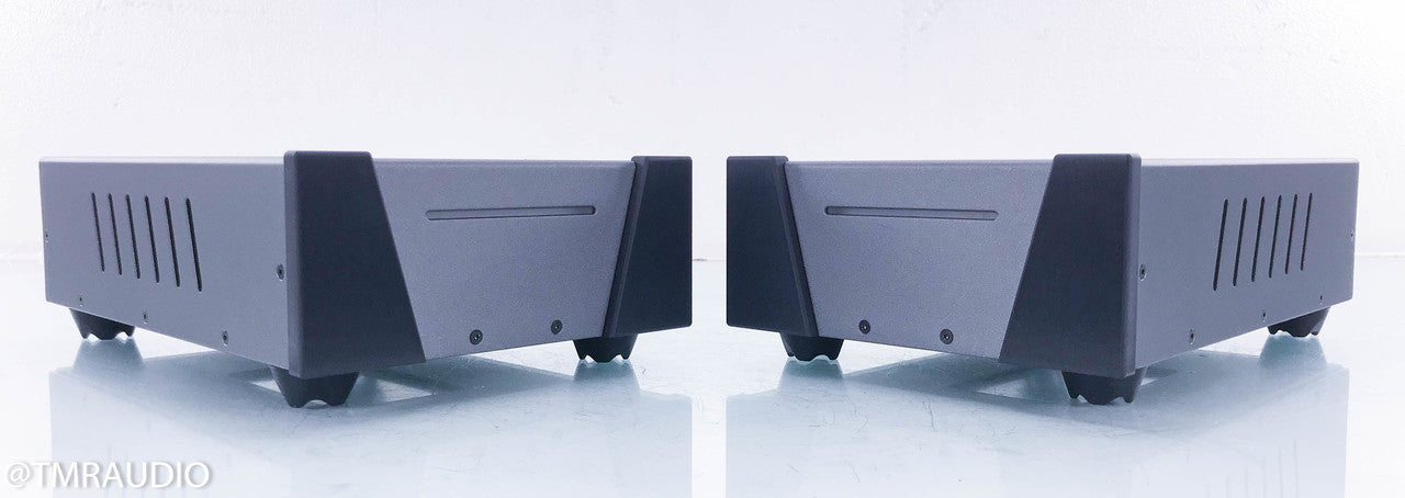 Wyred 4 Sound SX-1000R Mono Power Amplifier
