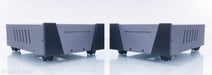 Wyred 4 Sound SX-1000R Mono Power Amplifier