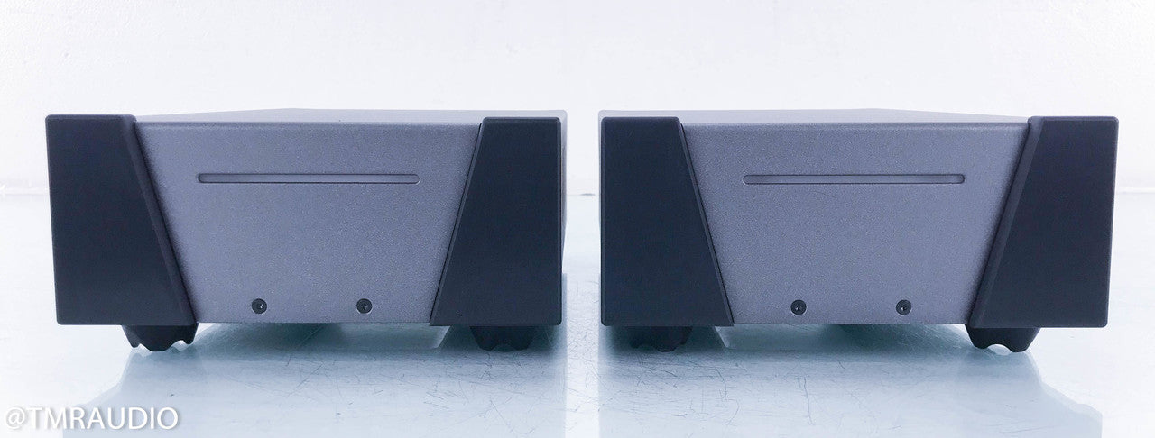 Wyred 4 Sound SX-1000R Mono Power Amplifier
