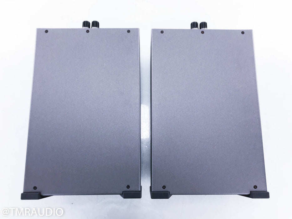 Wyred 4 Sound SX-1000R Mono Power Amplifier