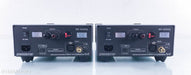 Wyred 4 Sound SX-1000R Mono Power Amplifier
