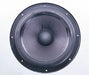 Philips AD10100/W8 10" Woofer