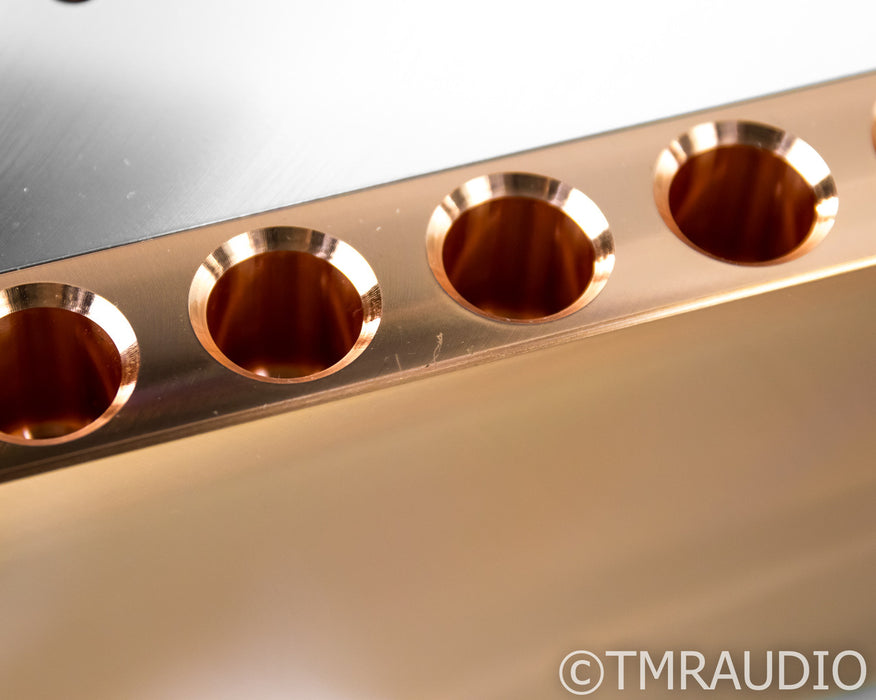 Dan D'Agostino M400 Mono Power Amplifier