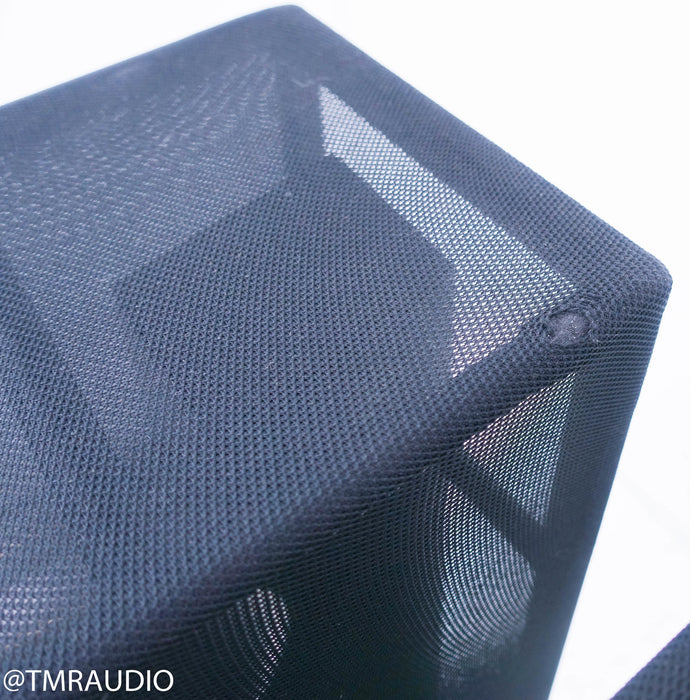 Anthony Gallo Nucleus Reference 3.1 Floorstanding Speakers