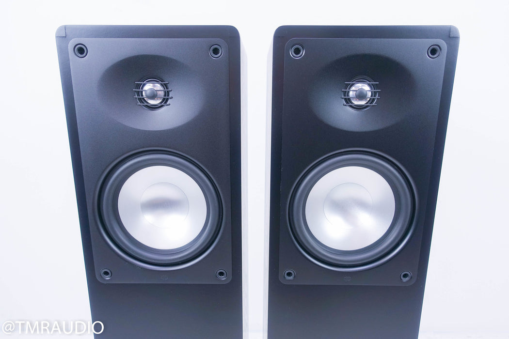 RBH MC-6CT Floorstanding Speakers
