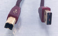 AudioQuest Cinnamon USB Cable