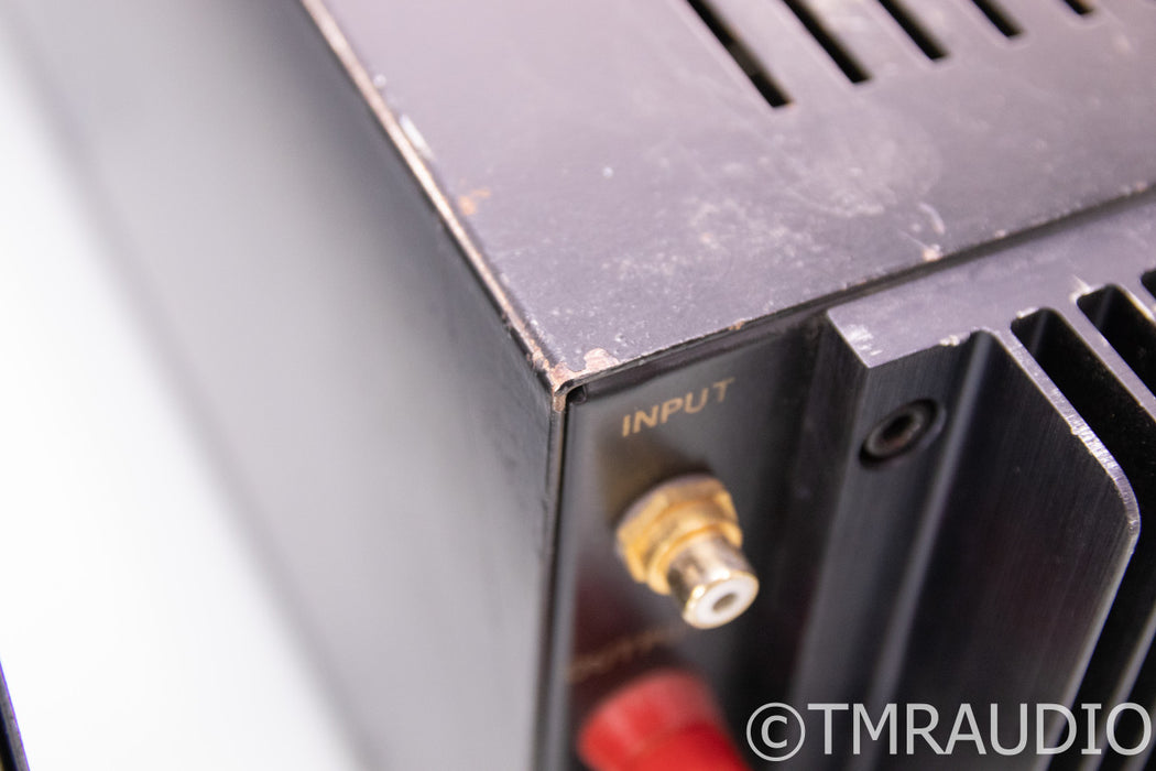 PS Audio 250 Delta Mono Power Amplifier