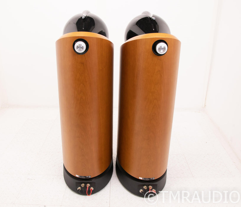 B&W 802D Floorstanding Speakers