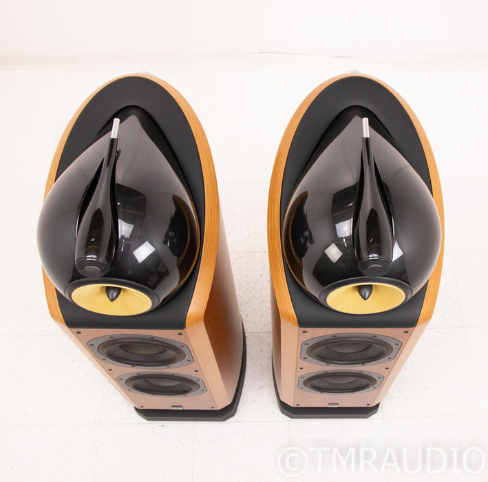B&W 802D Floorstanding Speakers