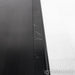 YG Acoustics Anat Studio Reference II Floorstanding Speakers