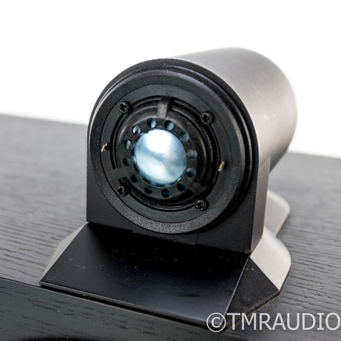 B&W Matrix HTM Center Channel Speaker; Black Ash