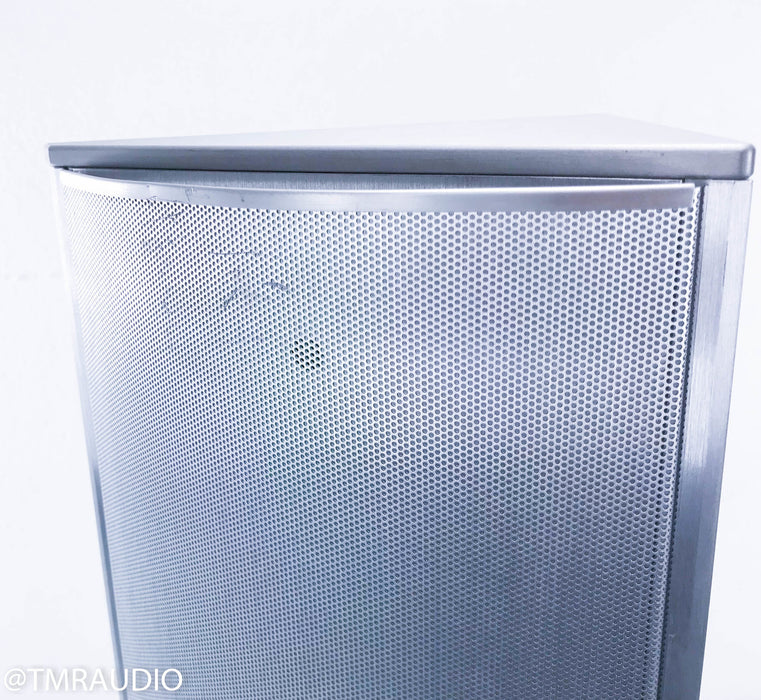 Thiel ViewPoint Flat-Panel Wall Mount Speakers