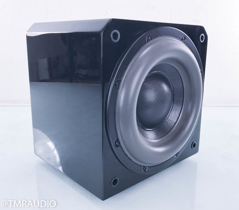 Sunfire HRS-10 10" Powered Subwoofer
