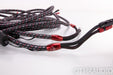 Audioquest CV-8 Speaker Cables; CV8; 10ft Pair; 72v DBS