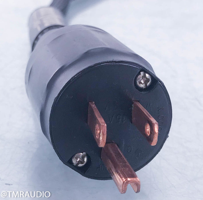 Triode Wire Labs Ten Plus Power Cable