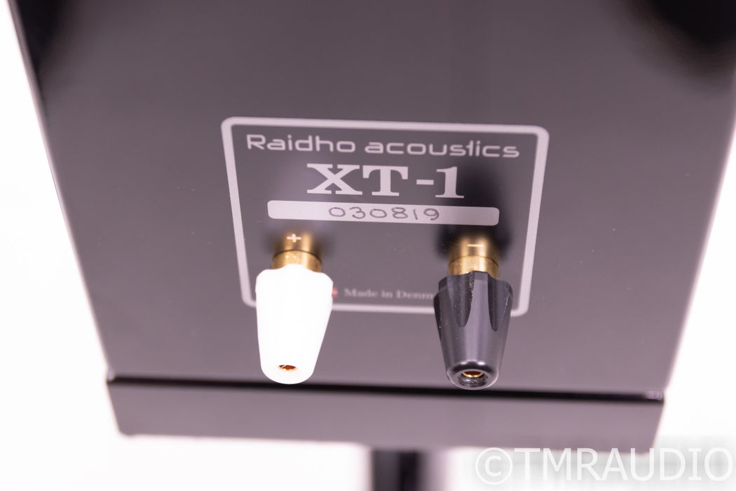 Raidho XT-1 Bookshelf Speakers