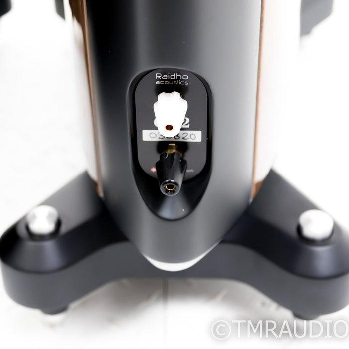 Raidho C3.2 Floorstanding Speakers