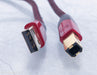 AudioQuest Cinnamon USB Cable