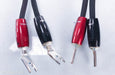 AudioQuest CV-8 Speaker Cables