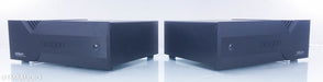 Aragon Iridium Mono Power Amplifier