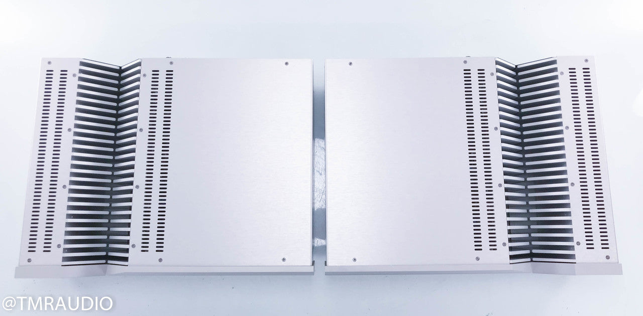 Aragon Iridium Mono Power Amplifier