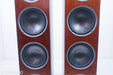 Polk Audio RTi A9 Floorstanding Speakers