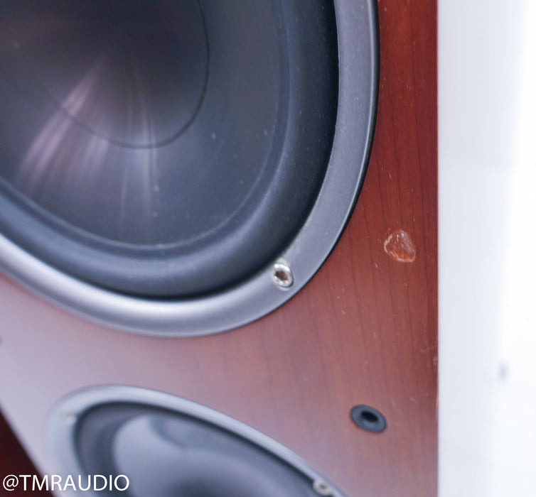 Polk Audio RTi A9 Floorstanding Speakers