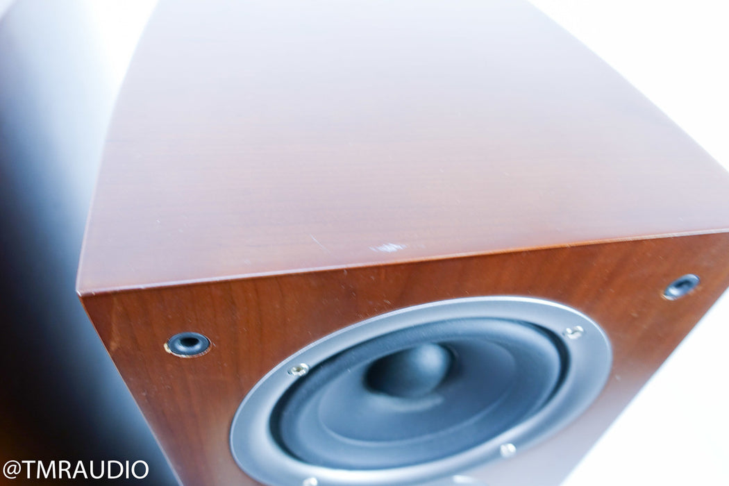 Polk Audio RTi A9 Floorstanding Speakers