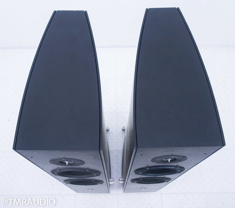 GamuT RS5i Floorstanding Speakers