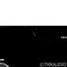 Lector VM-200 Stereo Tube Hybrid Power Amplifier; VM200