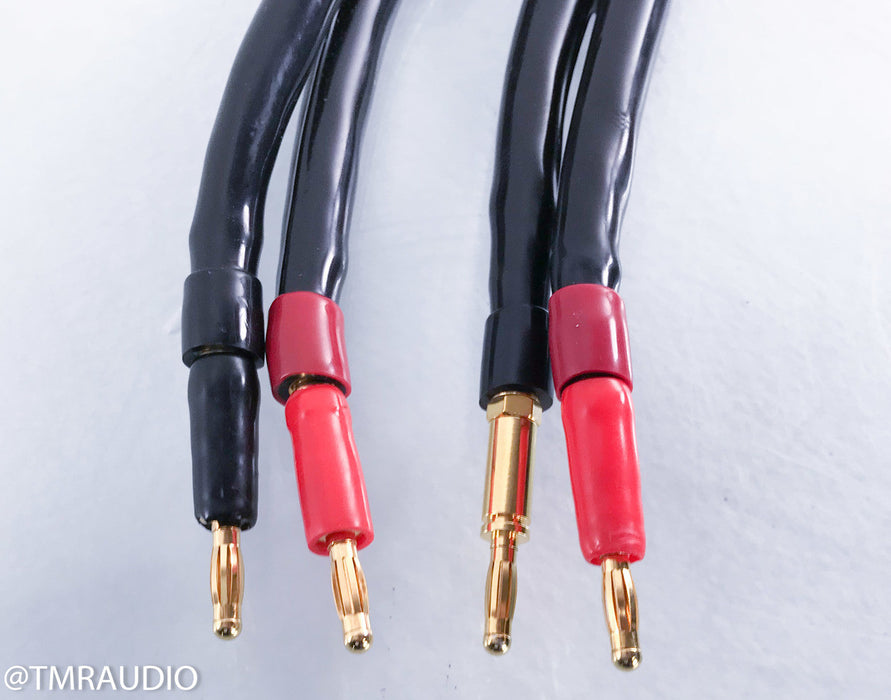 MIT AVt3 Bi-Wire Speaker Cables