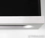 Bel Canto e.One REF1000 Mono Power Amplifier