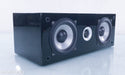 Pinnacle BD 300 Center Channel Speaker
