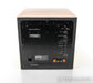 B&W ASW610XP 10" Powered Subwoofer; ASW-610XP; Custom Maple Veneer