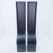 InnerSound Isis Hybrid Electrostatic Speakers
