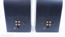 InnerSound Isis Hybrid Electrostatic Speakers