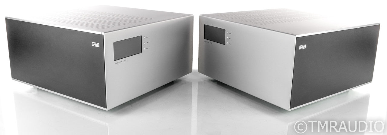 Soulution 701 Mono Power Amplifier