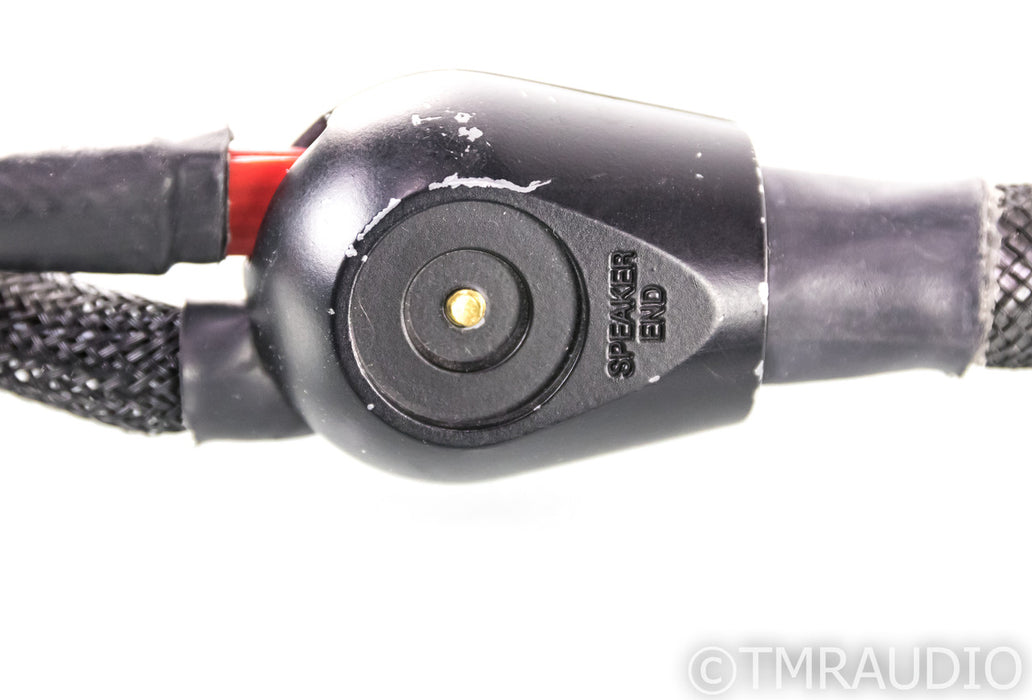 WireWorld Silver Eclipse 7 Speaker Cables; 2.5m Pair