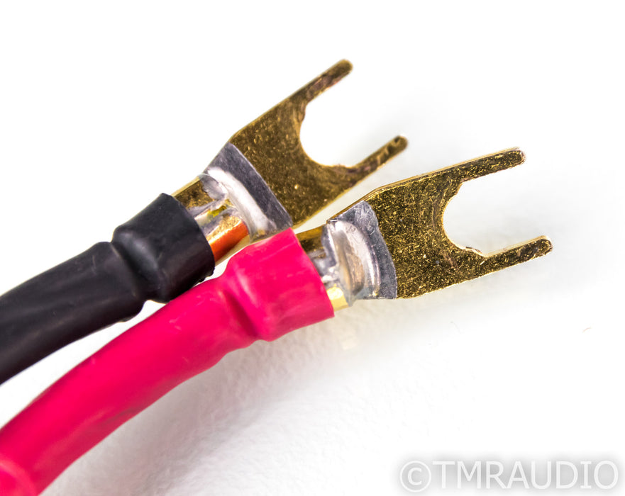 Transparent Audio MusicWave Super Speaker Cables; 10ft Pair