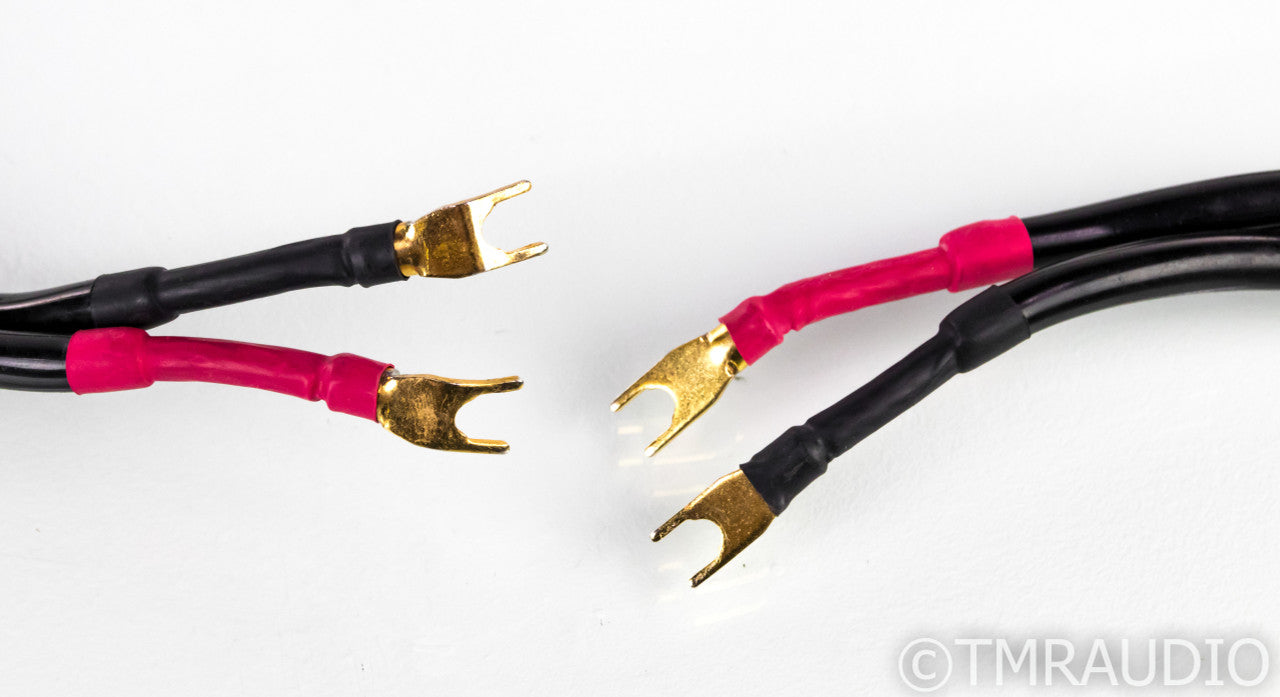 Transparent Audio MusicWave Super Speaker Cables; 10ft Pair