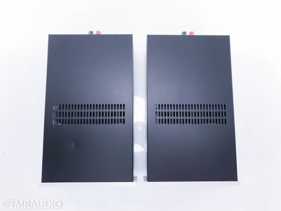 Audio Analogue Donizetti Mono Power Amplifiers