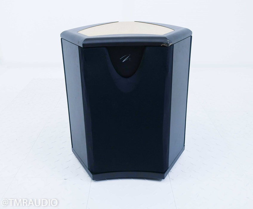Martin Logan Descent 10" Powered Subwoofer